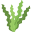 Seaweed.png