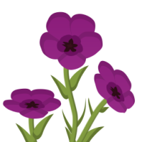 Astronomical flax.png