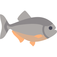 Raw piranha.png