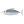 Raw mackerel.PNG