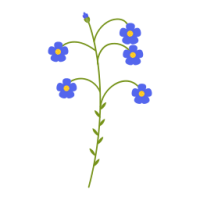 Magical flax.png